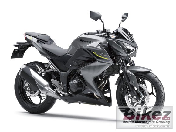 z 300.jpg
